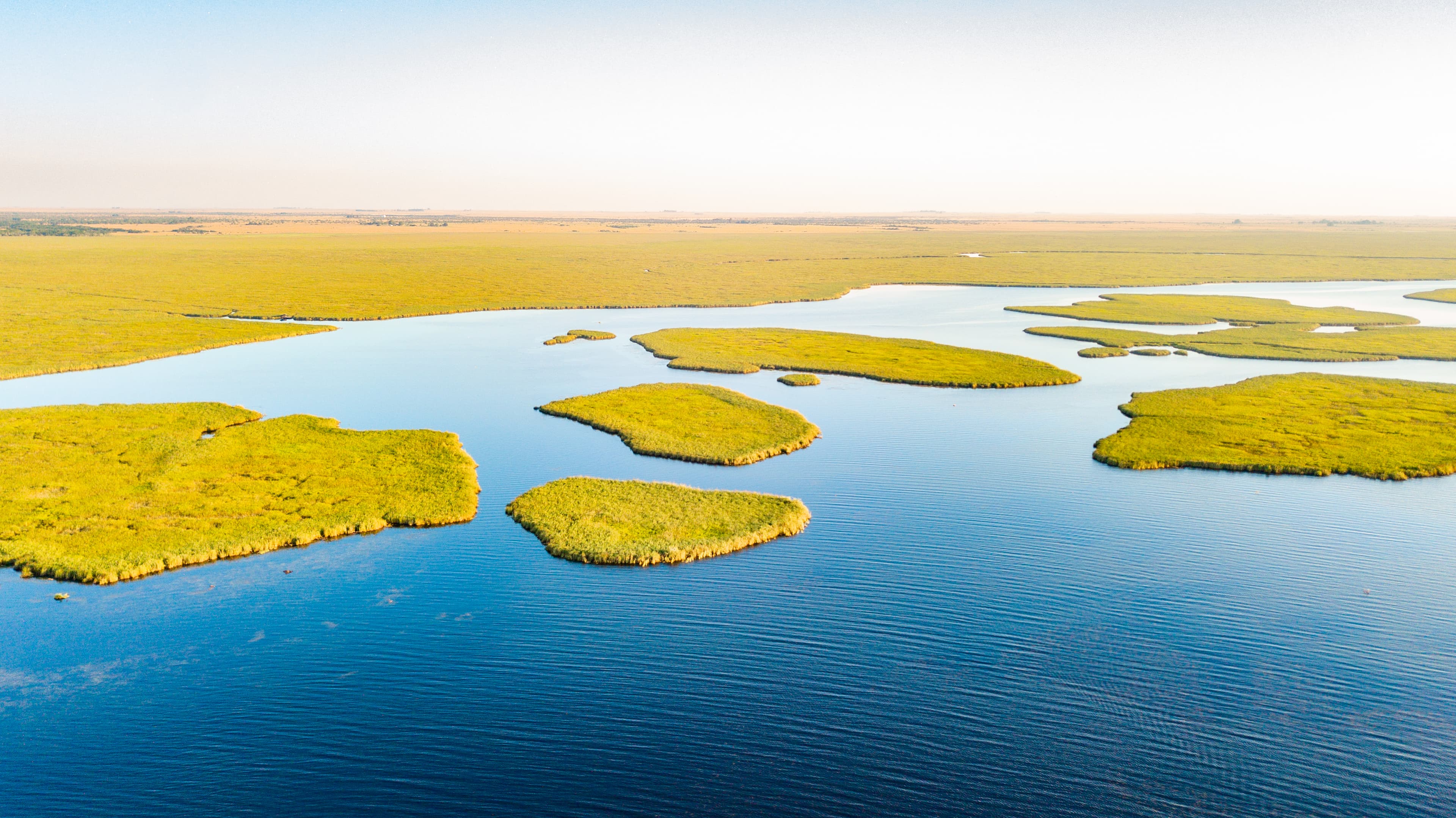 The Slow Iberá