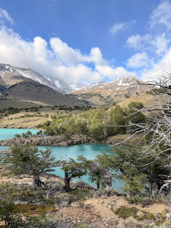 Lenga forest approaching Refugio Azara