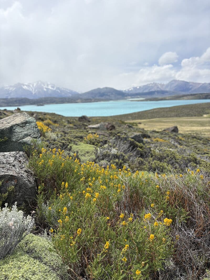 The Other Perito Moreno: A Journey into Patagonia's Quietest Wilderness