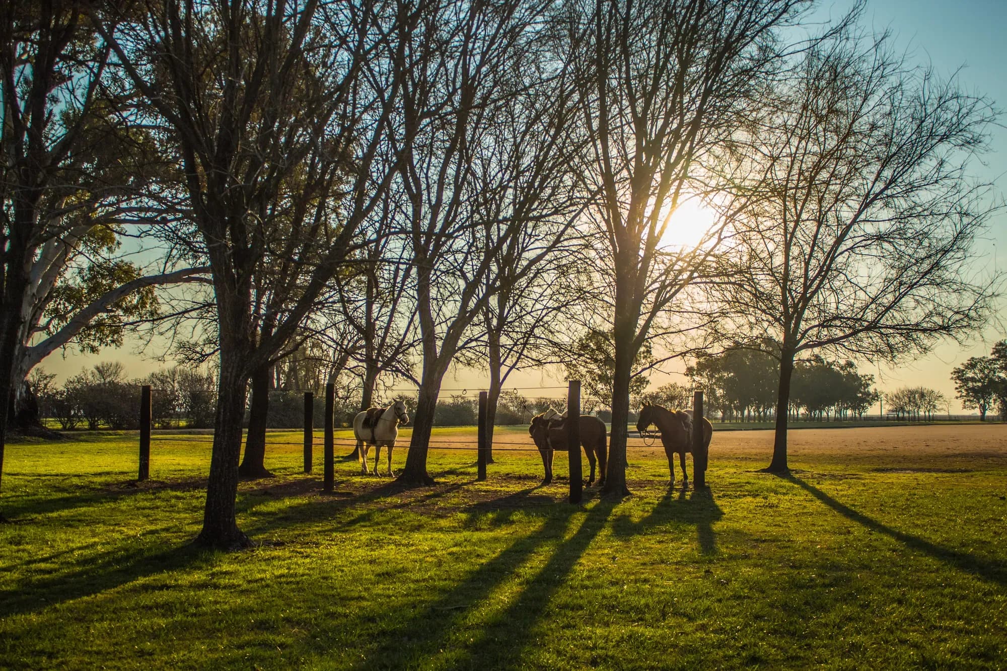 Buenos Aires — Still & Trail