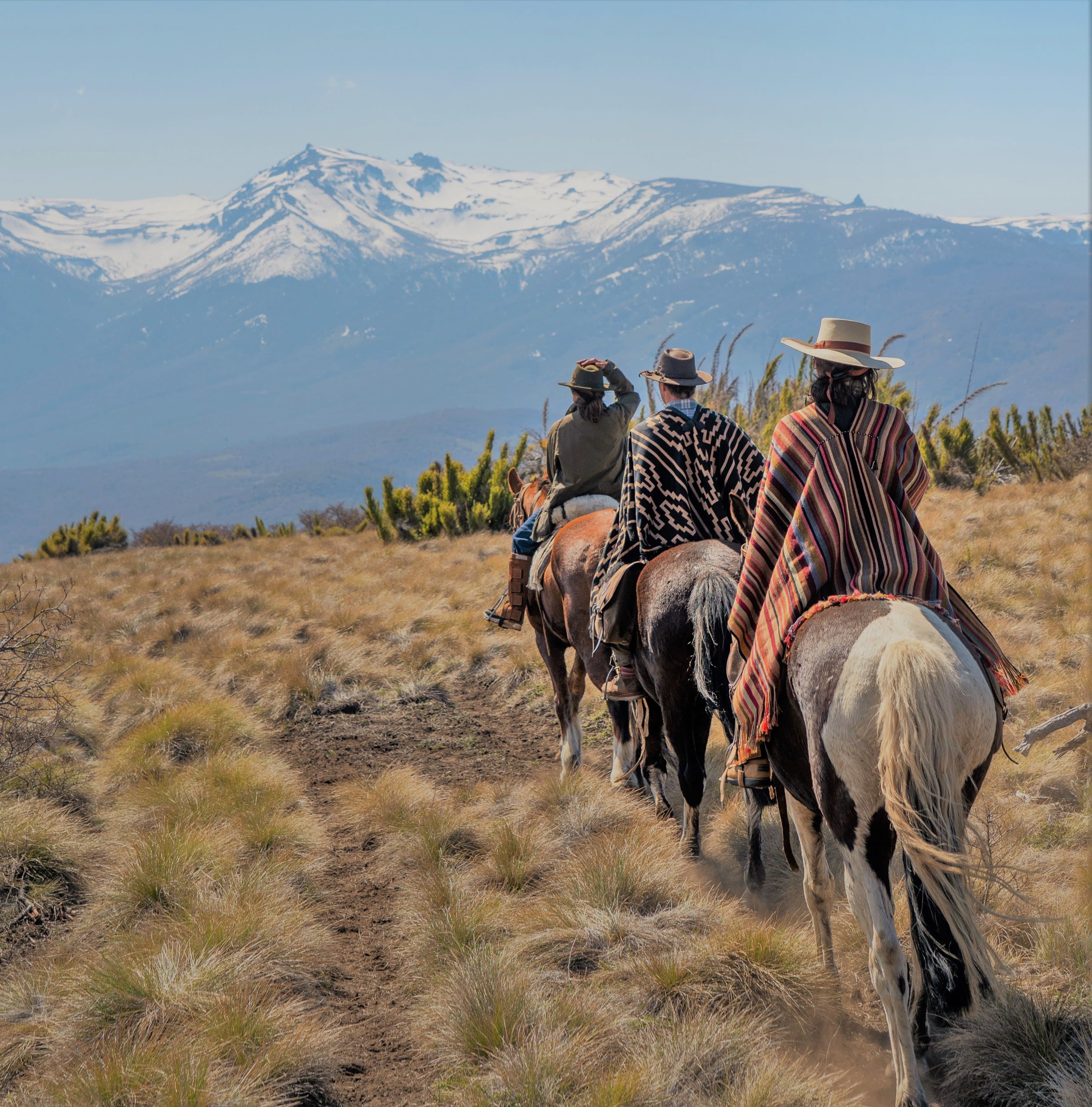 Horseback riding through the Patagonian estancia — Still & Trail