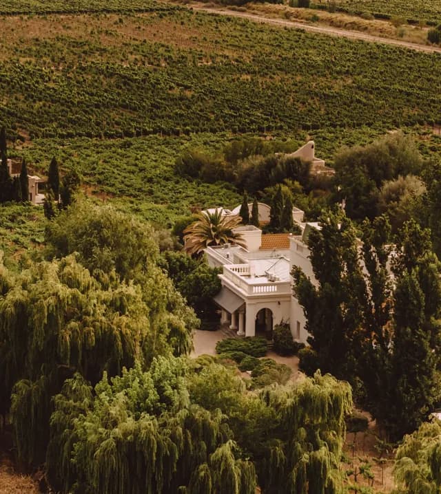 Mendoza — Still & Trail