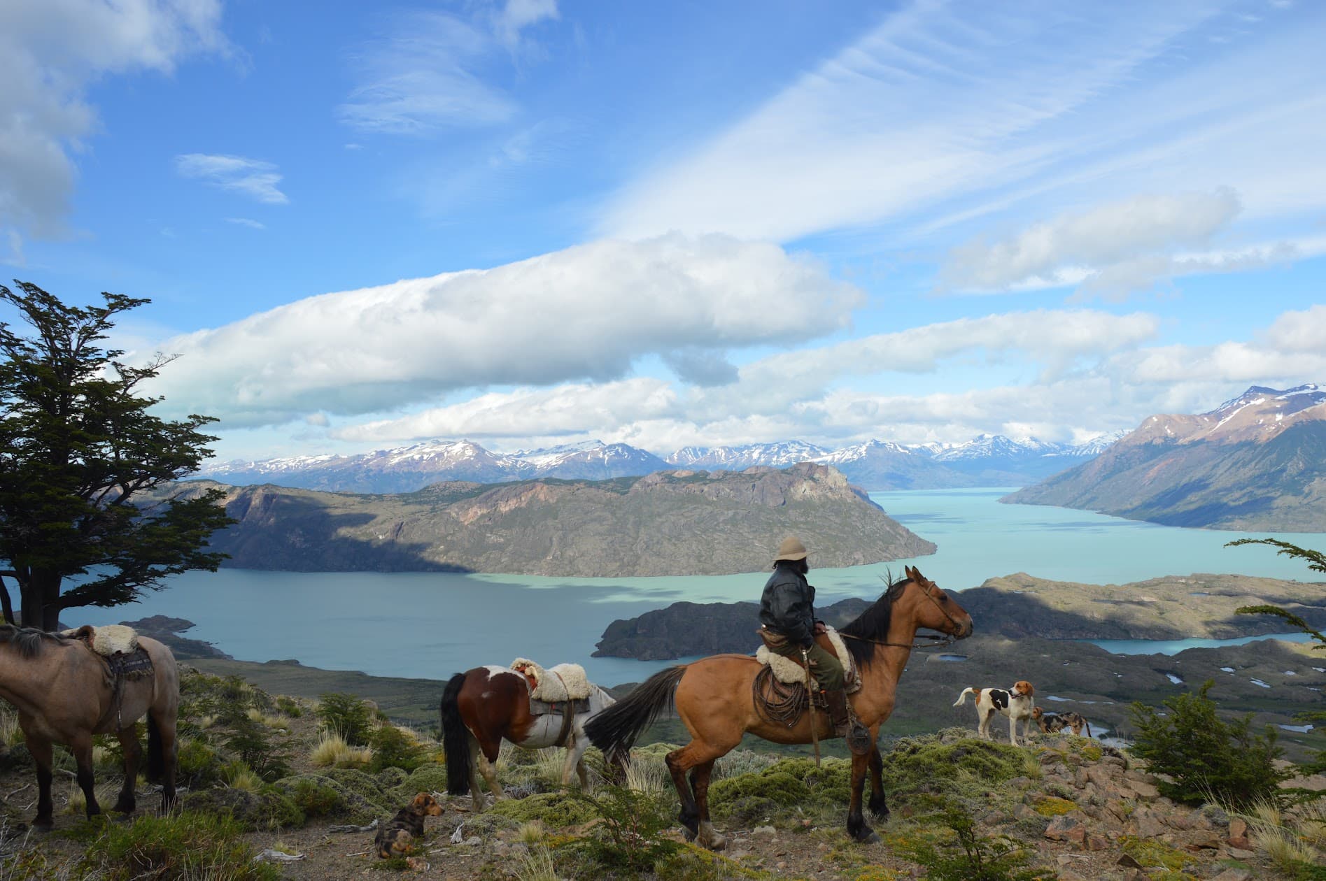 Patagonia — Still & Trail