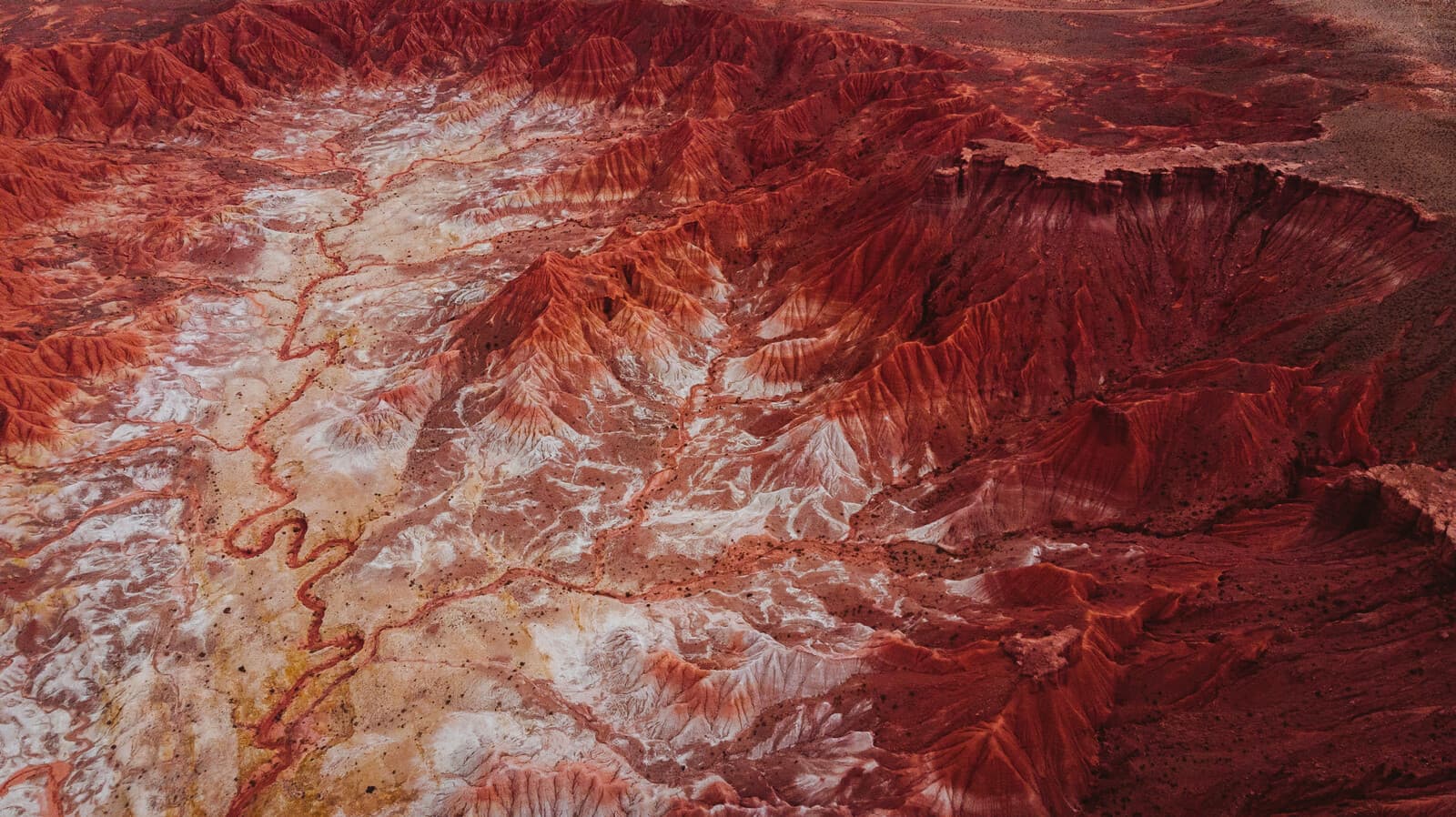 Salta & Jujuy — Still & Trail